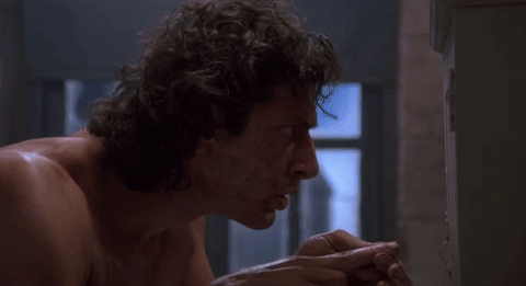 Jeff goldblum 1986 disgusting GIF - Find on GIFER