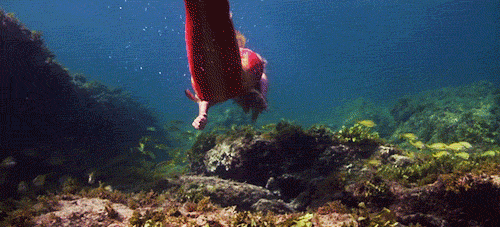 8Gvn.gif