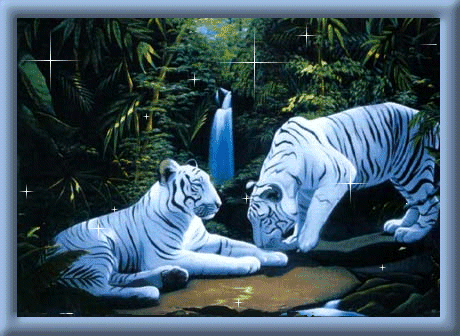 Resultado de imagen para GIFS ANIMADOS DE ANIMALITOS