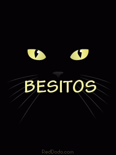 Gato negro GIFs - Get the best gif on GIFER