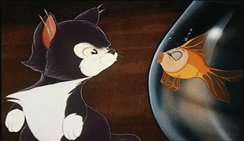Figaro pinocchio cat GIF on GIFER - by Gholbighma