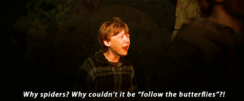 Image result for ron weasley spiders gif