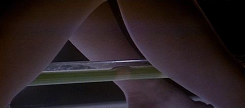 Animated Gif Exploitation Movies Share Or Download Animated Gif Exploitation Movies Share Or Download