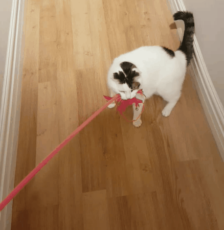 Https Encrypted Tbn0 Gstatic Com Images Q Tbn 3aand9gcqbvlotlku2q0g1wqnfw7zxtkj9v0zedafgk1q Krkfims960qq