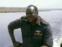 Amin GIFs - Get the best gif on GIFER