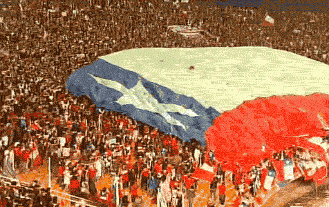 8bSJ.gif