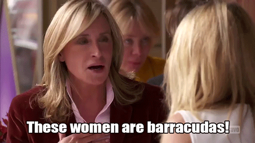 Gif Real Housewives Rhony Season 6 Real Housewives Of New York Animated Gif On Gifer By Mezuru
