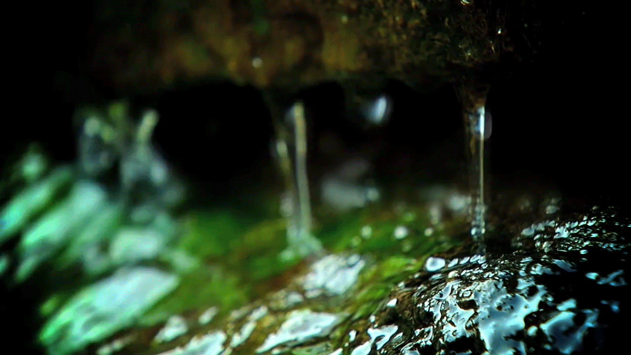 overliggende Hobart kombination GIF drips natureza nature - animated GIF on GIFER