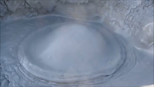 8obN.gif