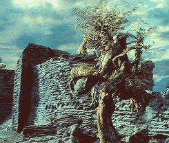 Ents GIF - Encontrar em GIFER