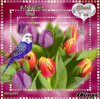 Whas Gif Find On Gifer