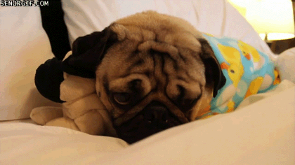 GIF fun make pajamas - animated GIF on GIFER