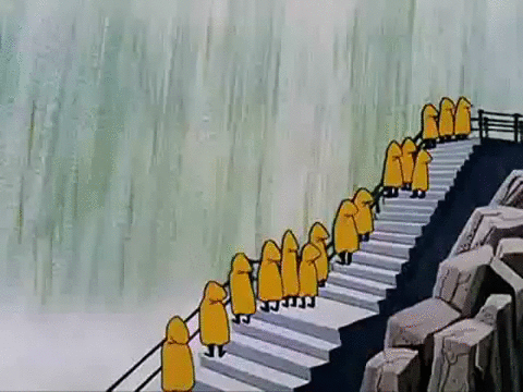 Woodpecker Niagara Gif Find On Gifer