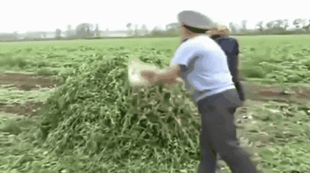 8zdW.gif