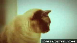 Gif Dramatico