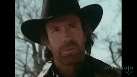chuck norris roundhouse gif