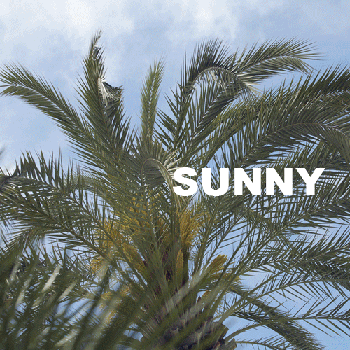 GIF cannes atmosphere chopard animated GIF on GIFER