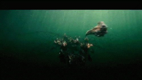 Movie review piranha piranha 3d GIF - Find on GIFER