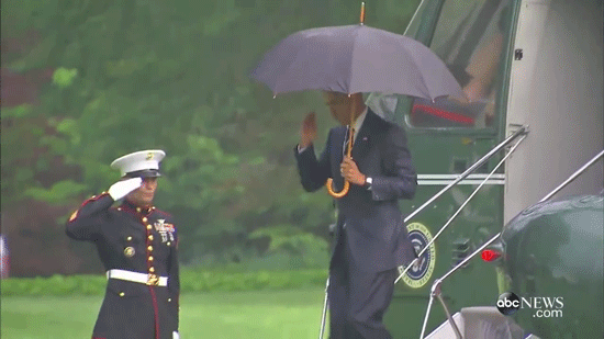 White House Correspondents Dinner Iconic My S Gif On Gifer By Tojamuro