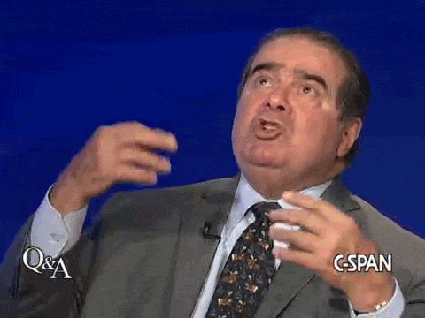 Bustle Lauren Welcome Gif Find On Gifer