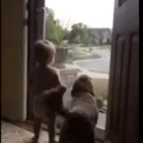 Thevideobook Bebe Gif Find On Gifer