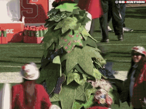 [Image: 997B.gif]