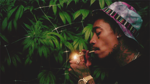 maryjane colors pot gif find on gifer