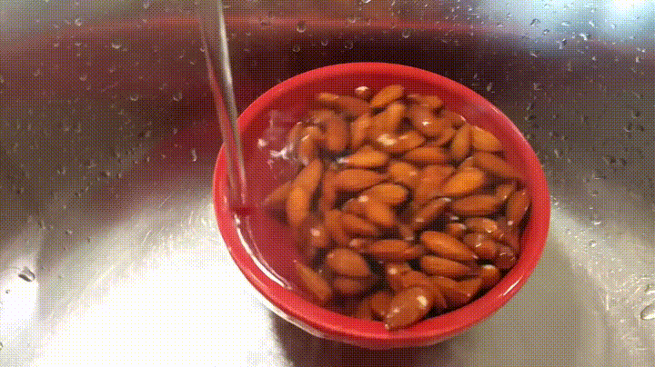 Almond GIFs - Get the best gif on GIFER