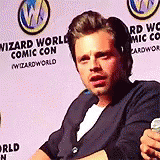 Stan how sebastian GIF Find on GIFER