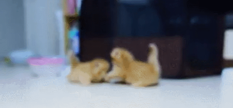 https://i.gifer.com/9LWh.gif