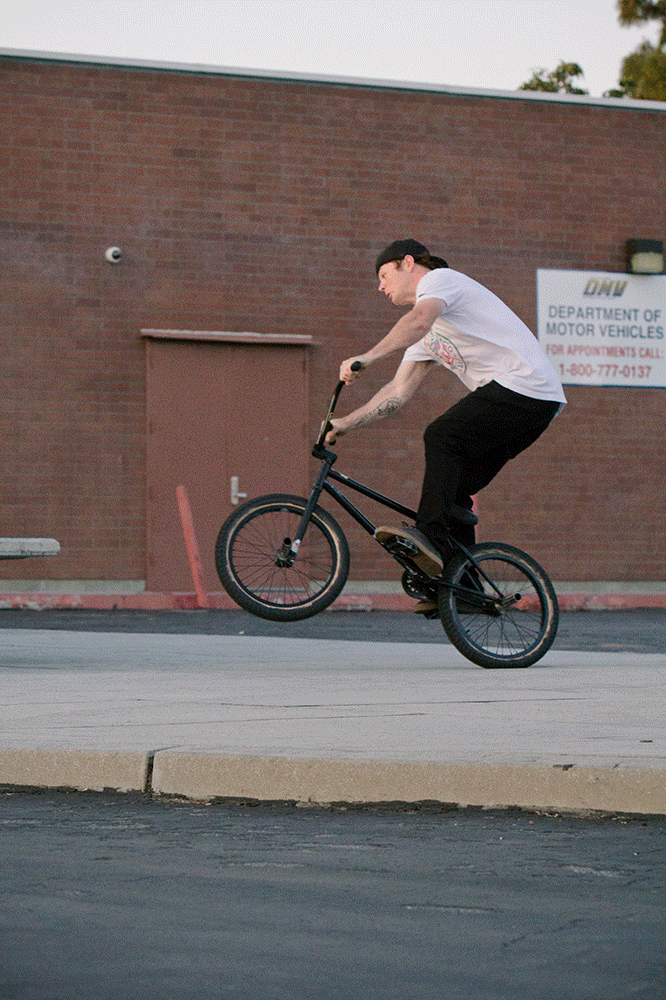 Shawn johnson GIF Find on GIFER