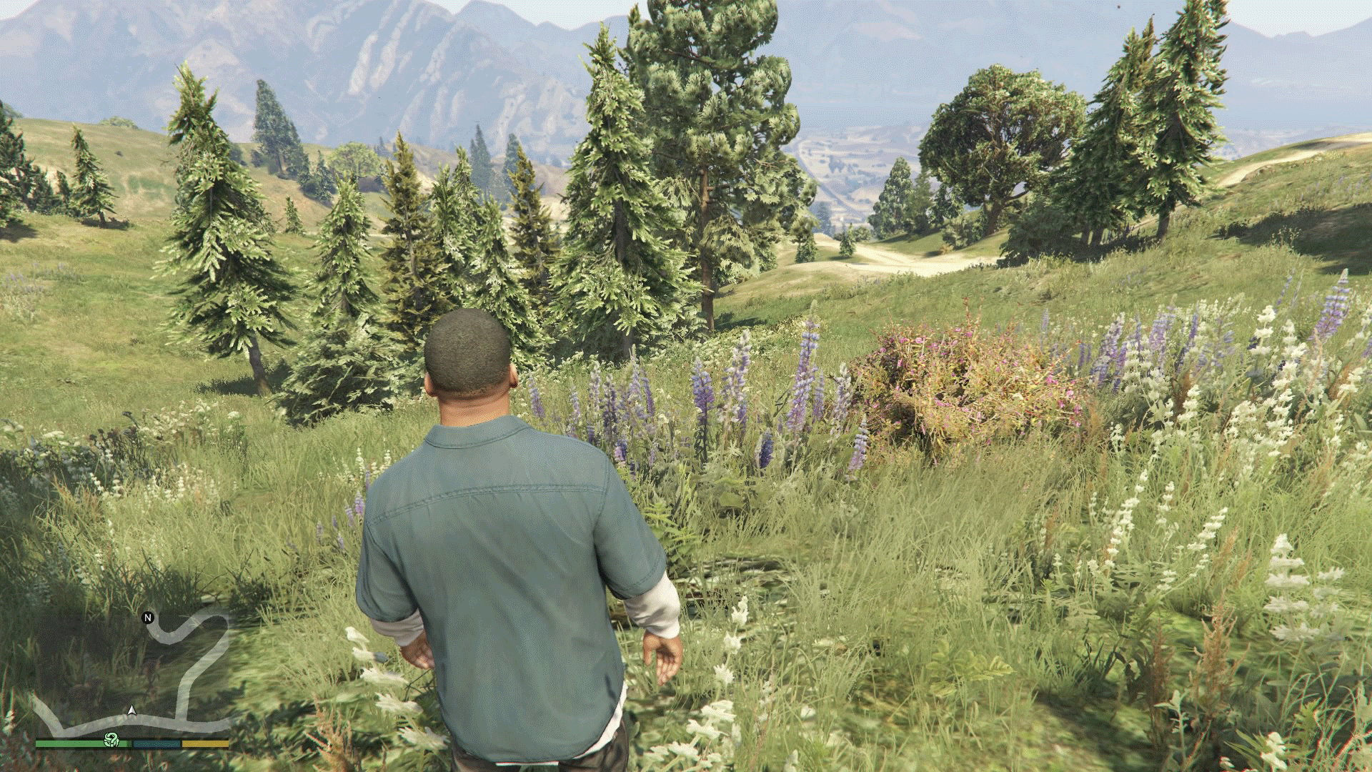GTA 5' Has Way More Foliage On PS4 Than Xbox One