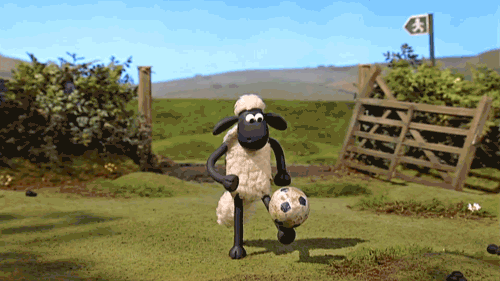 Image result for shaun the sheep football animated gif