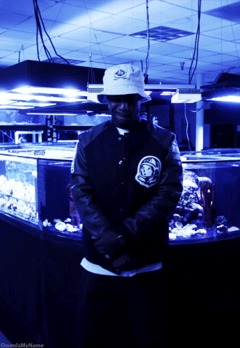 GIF hip hop rap music - animated GIF on GIFER