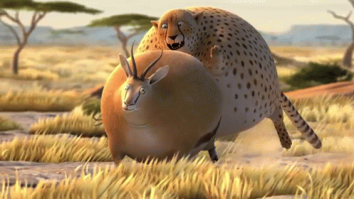 https://i.gifer.com/9Rtl.gif