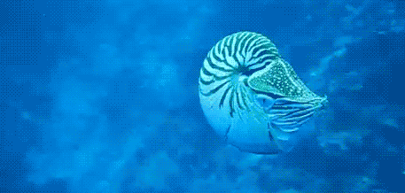GIF art pixel sea - animated GIF on GIFER - by Lightsinger