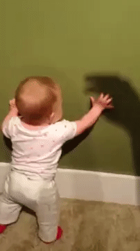 Gif Puppet Bebe Ombre Animated Gif On Gifer Gif Puppet Bebe Ombre Animated Gif On Gifer