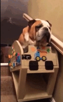 Stair Lift Gifs Get The Best Gif On Gifer