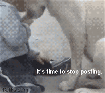Its Time To Stop Gif 8