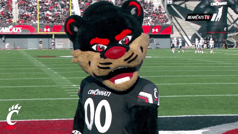 Bearcats football GIFs - Get the best gif on GIFER