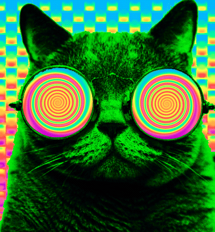 Hallucinogenic gatinhos psicodelico GIF - Find on GIFER