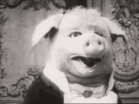 Pig le cochon danseur smile GIF - Find on GIFER