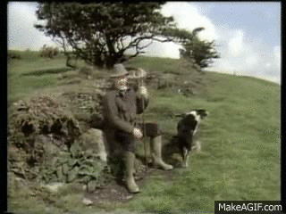 Gif Mailchimp Stay Gold Animated Gif On Gifer