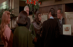 Gif Otp Pota Chimpanzees Animated Gif On Gifer Gif Otp Pota Chimpanzees Animated Gif On Gifer