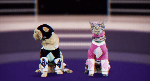 Power rangers cat 90s GIF - Find on GIFER