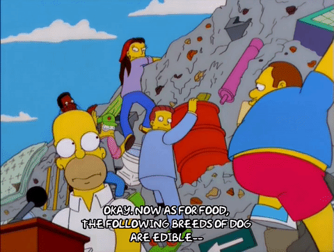 Homer simpson episode 2 season 12 GIF - Find on GIFER