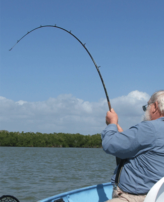 Fishing GIF - Find on GIFER