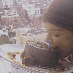 Funny-cake GIFs - Get the best GIF on GIPHY