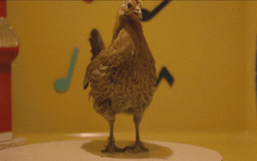 На этой анимированной гифке: танец цыпленка, курица, Скачайте гиф dancing c...