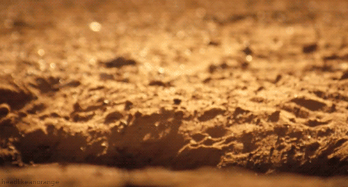 A12F.gif